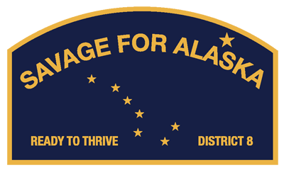 Nissa for State House